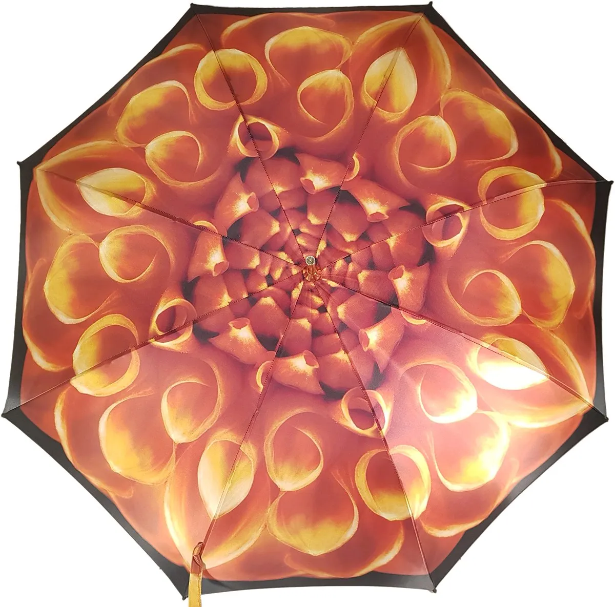 Beautiful Umbrella Features a Fantastic Flower